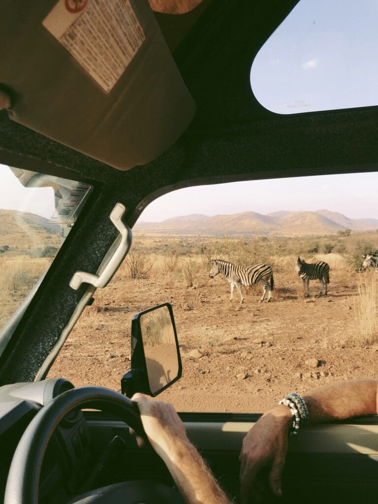 Solo Travelling in South Africa