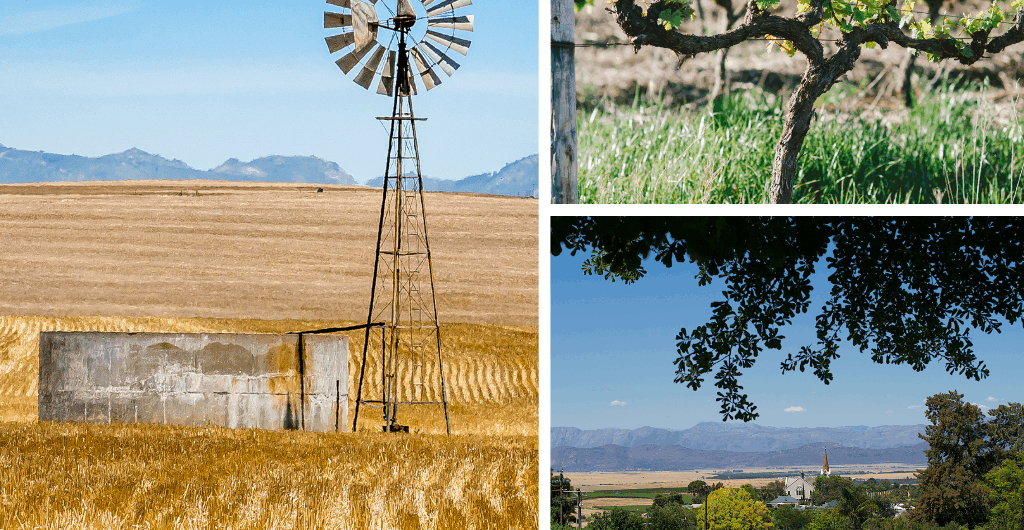 Swartland