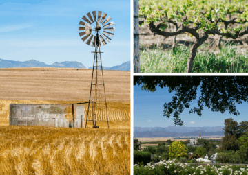 Swartland