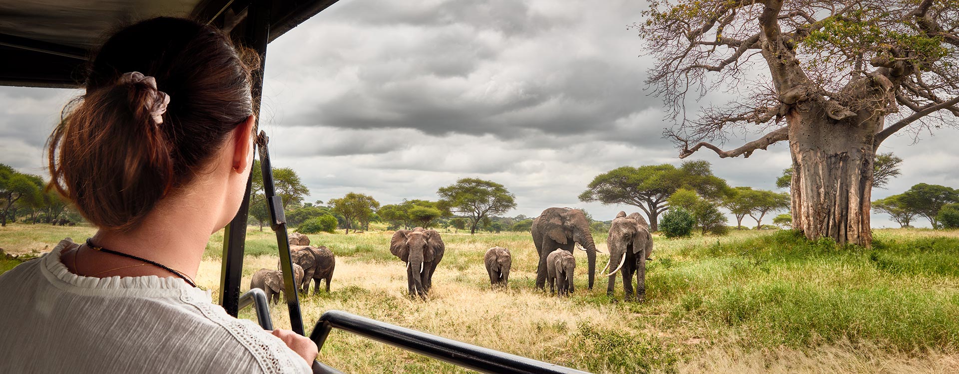 African Safaris