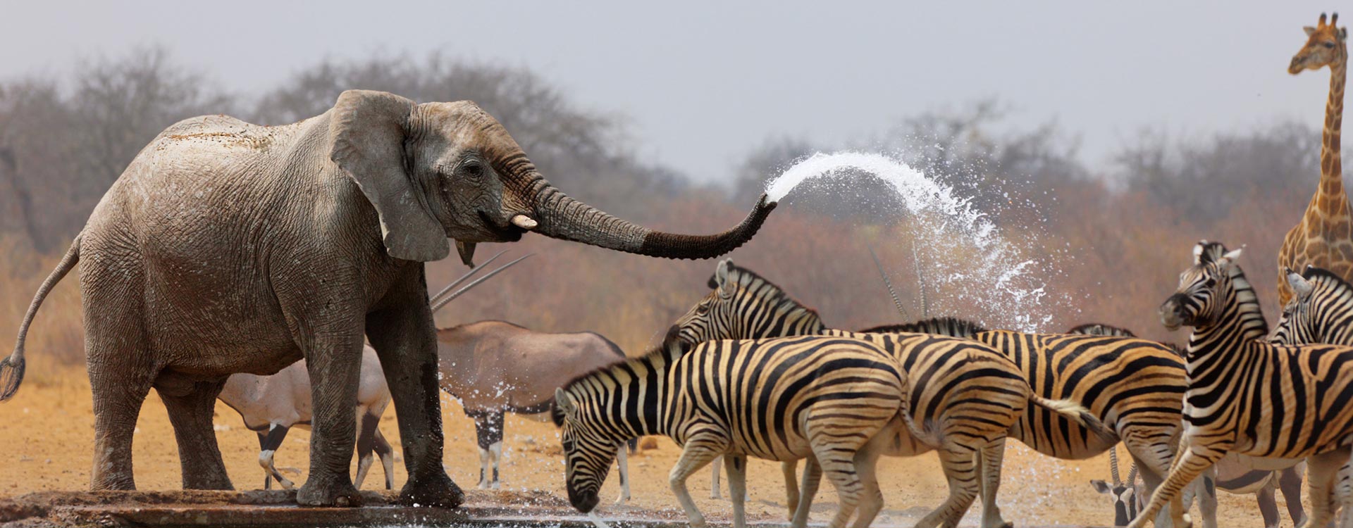 Botswana
