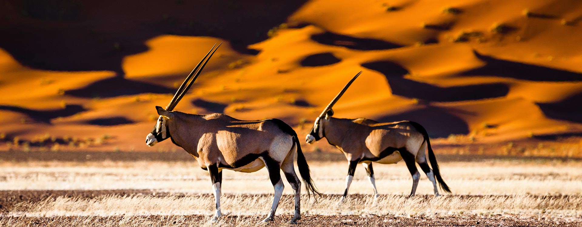 Namibia