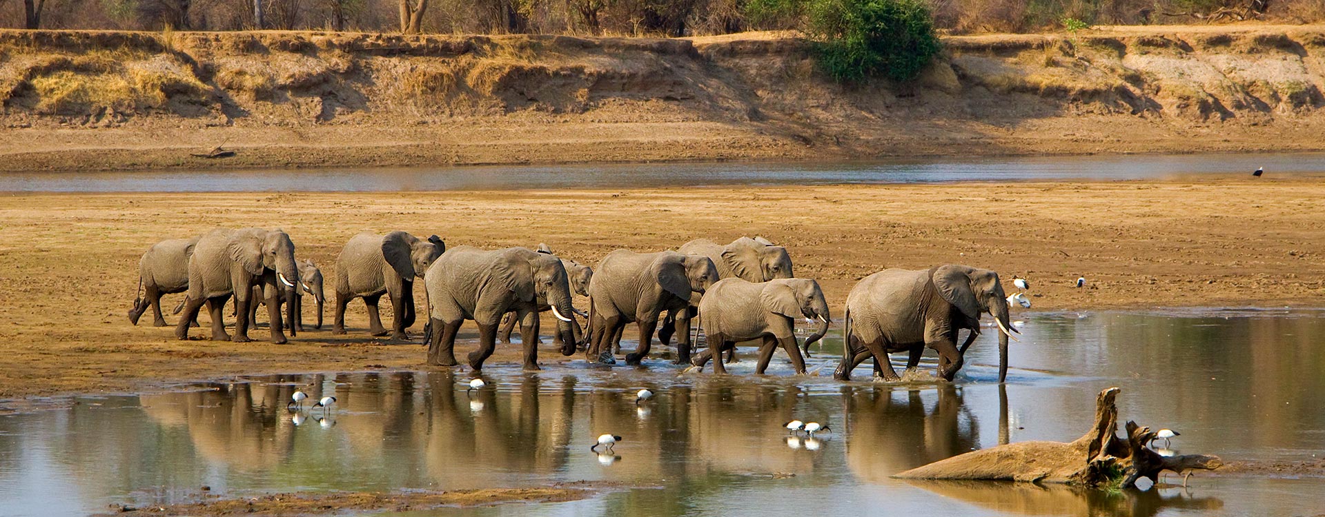 Zambia