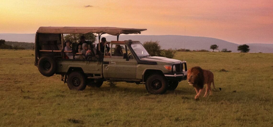 Luxury Safari Tours in Africa