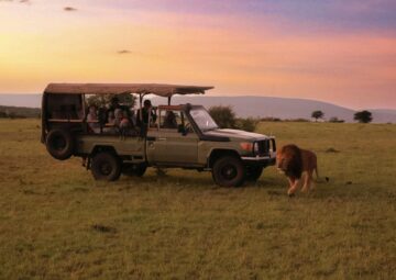 Luxury Safari Tours in Africa