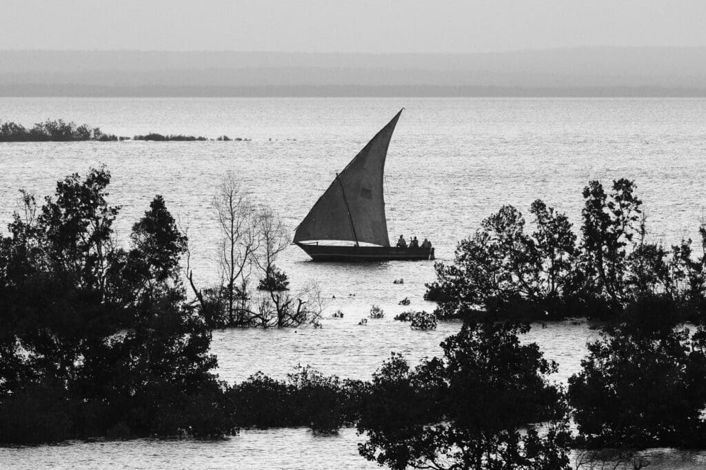 A Sail Boat Spotted on the Best Beach Safaris in Africa