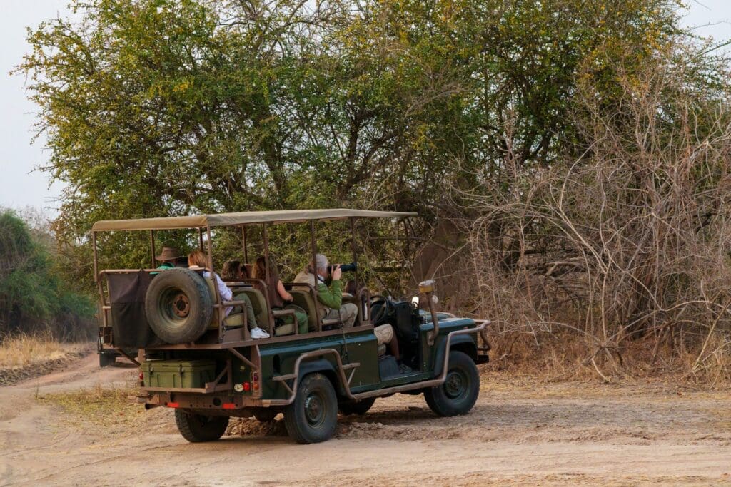 Afrikanische Safari-Reisen für Generationen