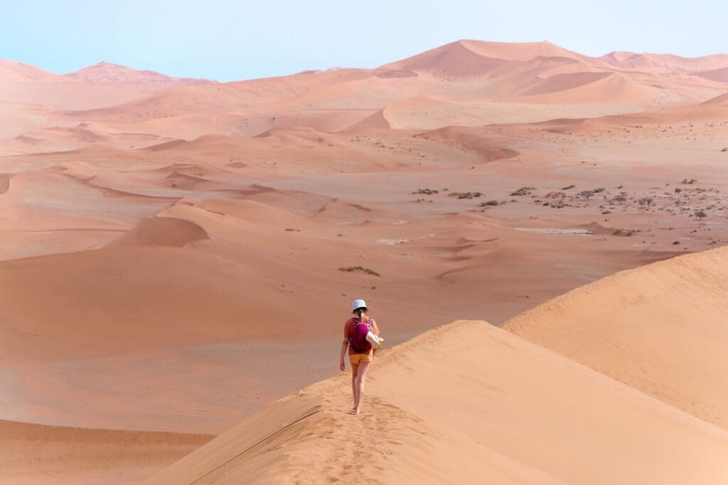 Namibia for US Tourists: Get the Lowdown Here 18 Walking Along the Namib