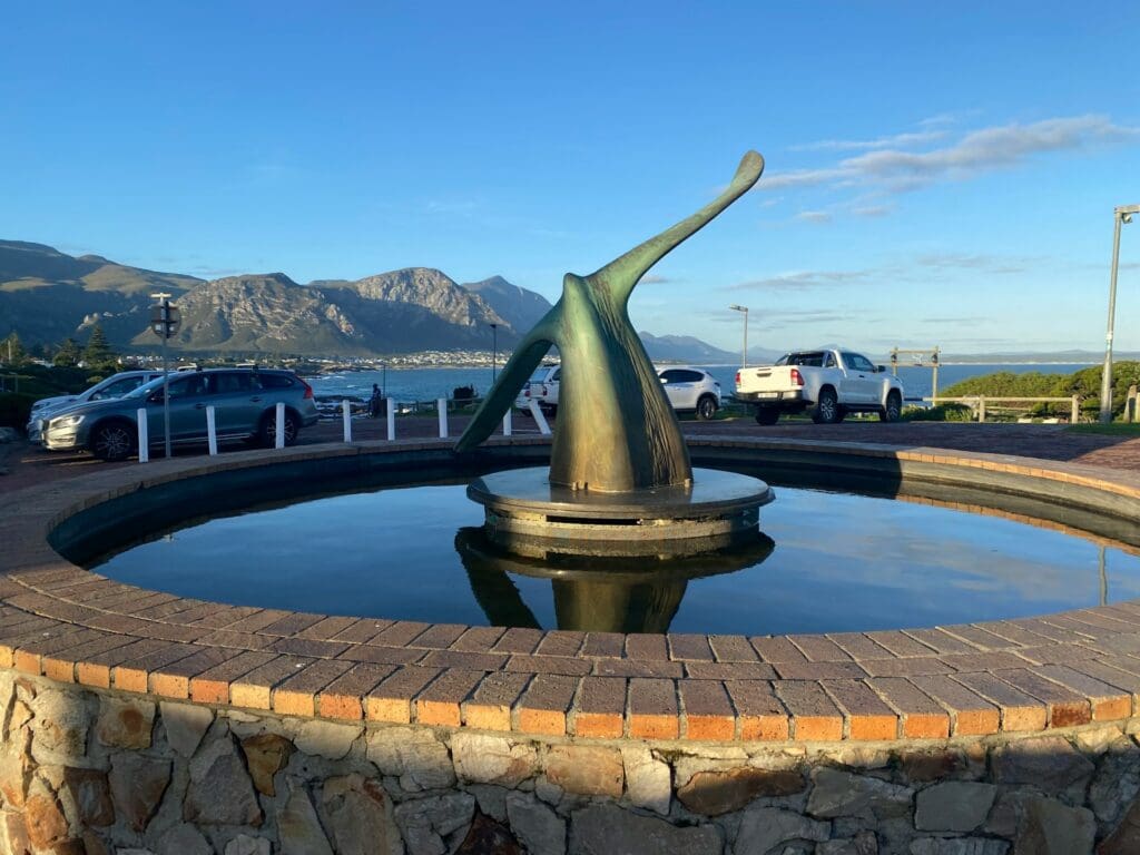 Walskulptur in Hermanus