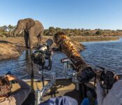 Elefanten-Sichtung auf Chobe & Victoria Falls Foto-Safari