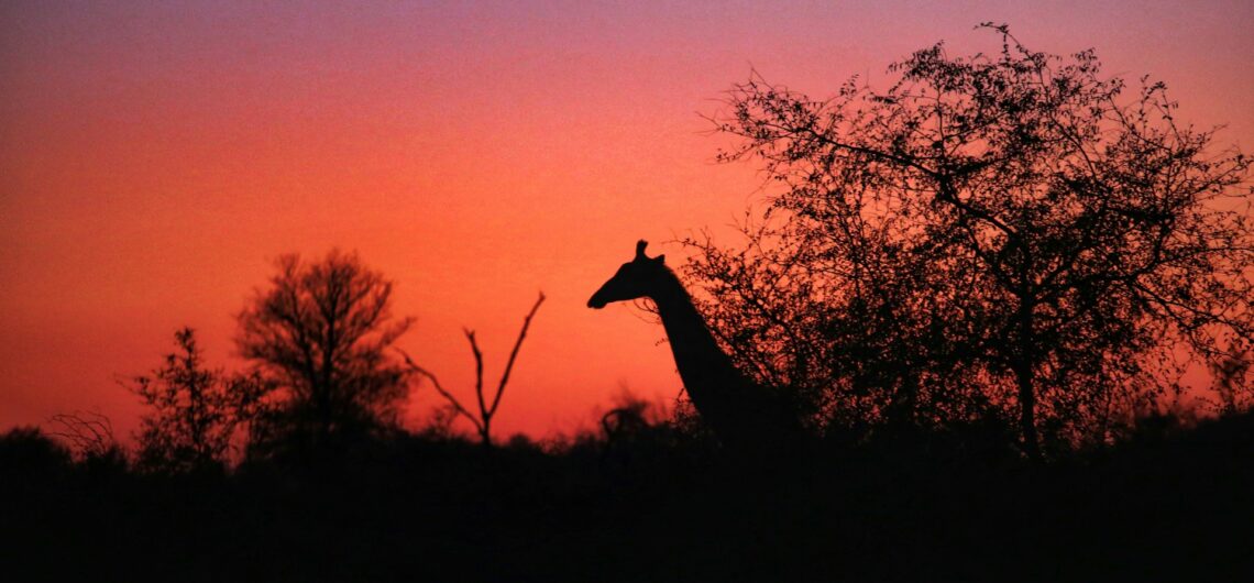 How big is the Kruger National Park