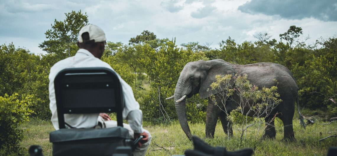 Safari-Pirschfahrt im Krüger-Nationalpark