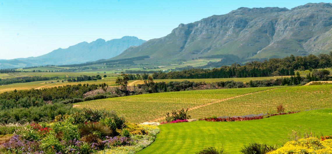 Stellenbosch Gardens