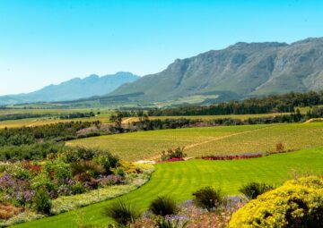 Stellenbosch Gardens