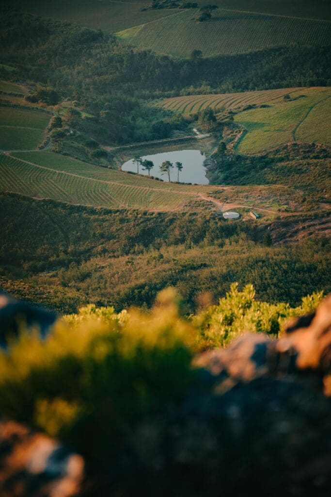 Stellenbosch-Landschaft