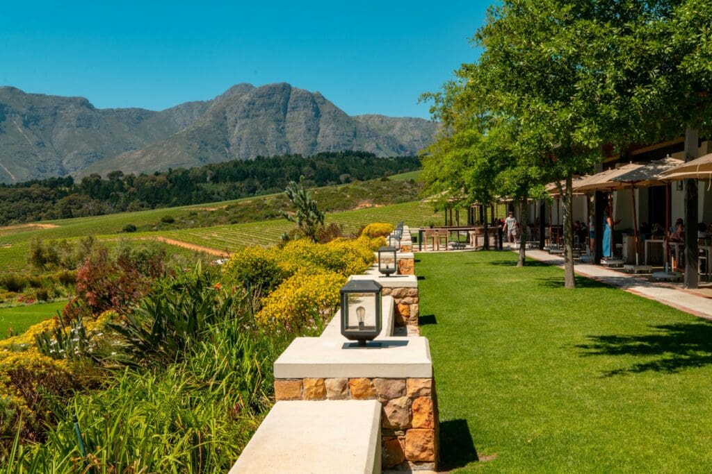 Weingut Stellenbosch