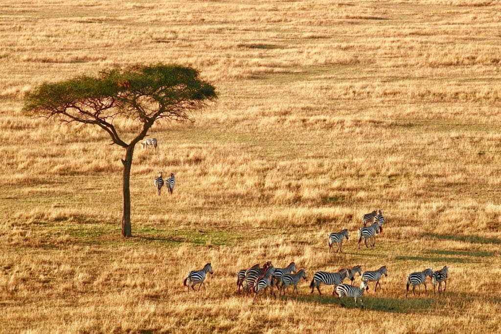 Best Places to Go in Africa in 2026