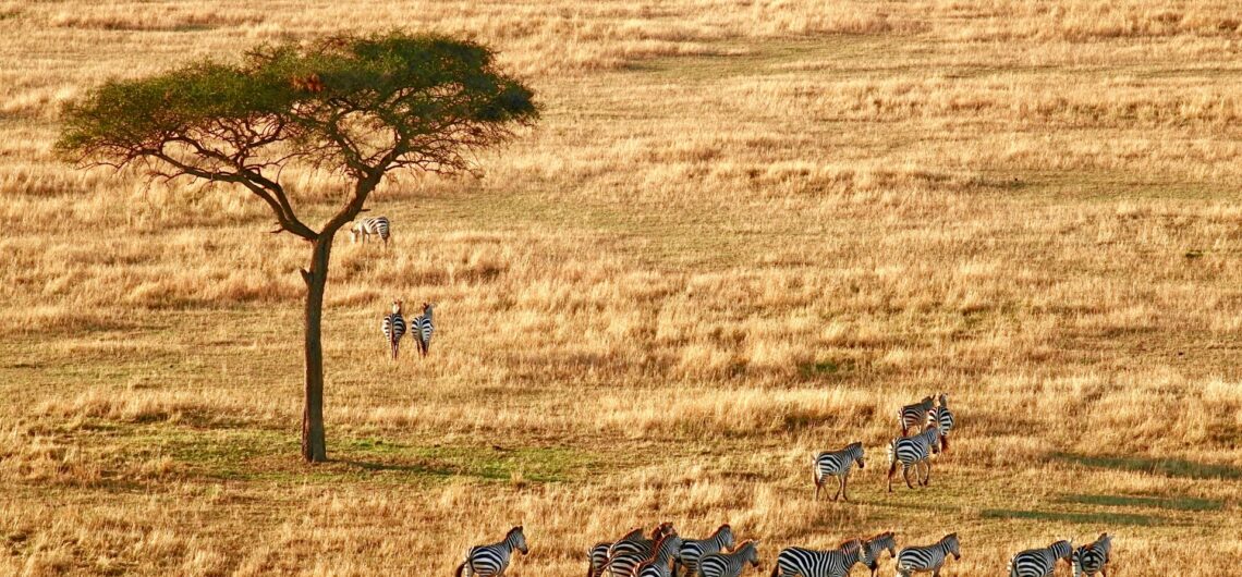 Best Places to Go in Africa in 2026