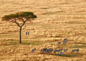 Best Places to Go in Africa in 2026