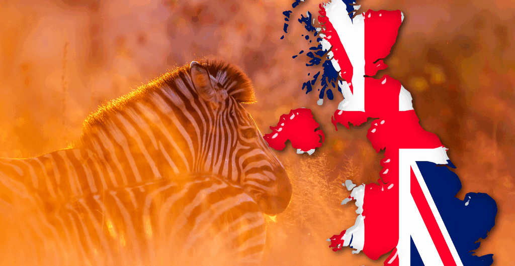 Kruger for UK tourists