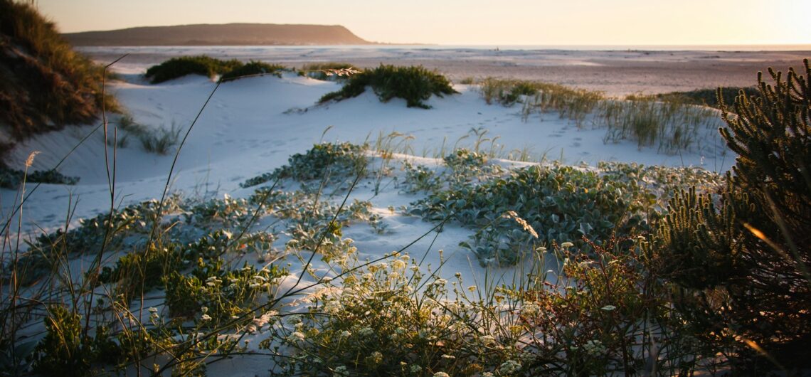 Luxury South African Destinations