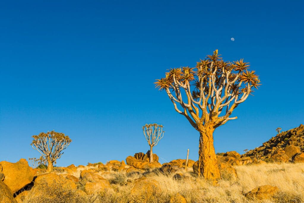 Namibia Namibia
