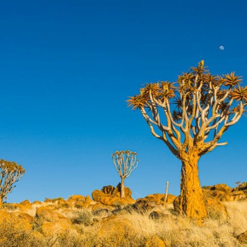 Namibia