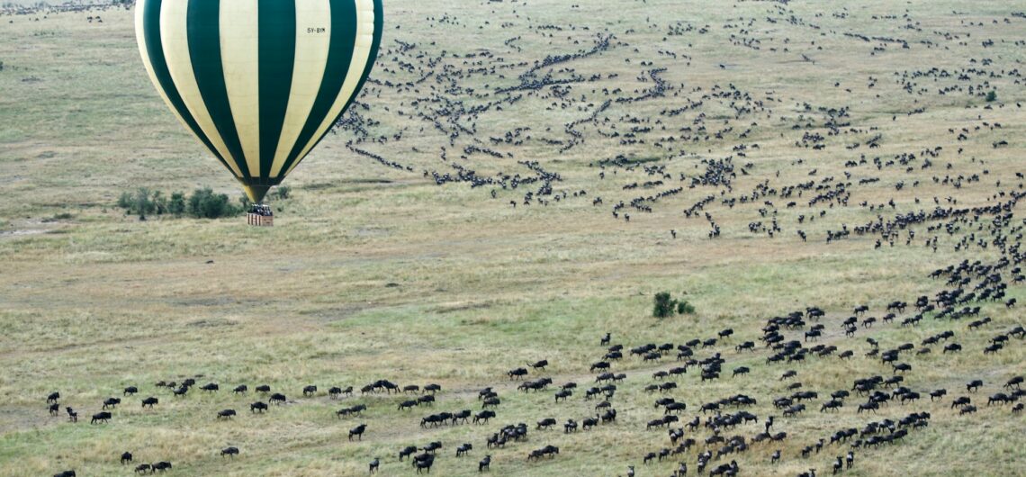 Tailor Made African Tours