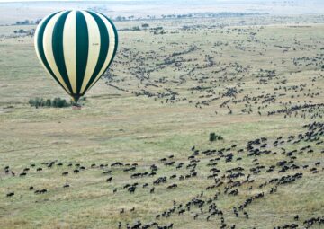 Tailor Made African Tours