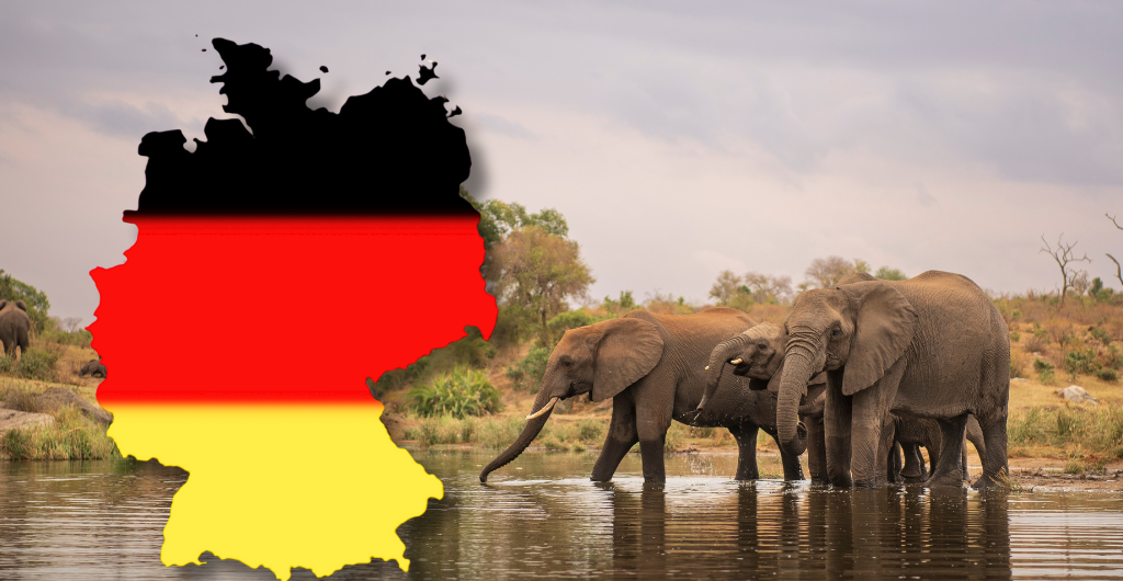 Kruger für deutsche Touristen