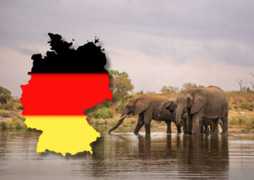 Kruger for German Tourists