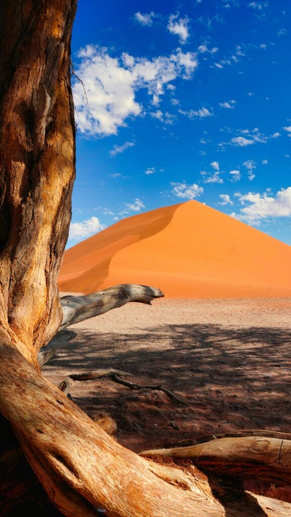 Dünen in Namibia