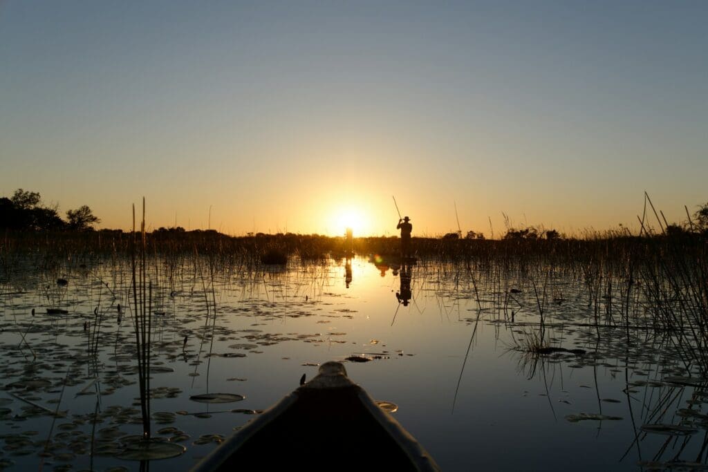 Okavango Delta Bootssafari
