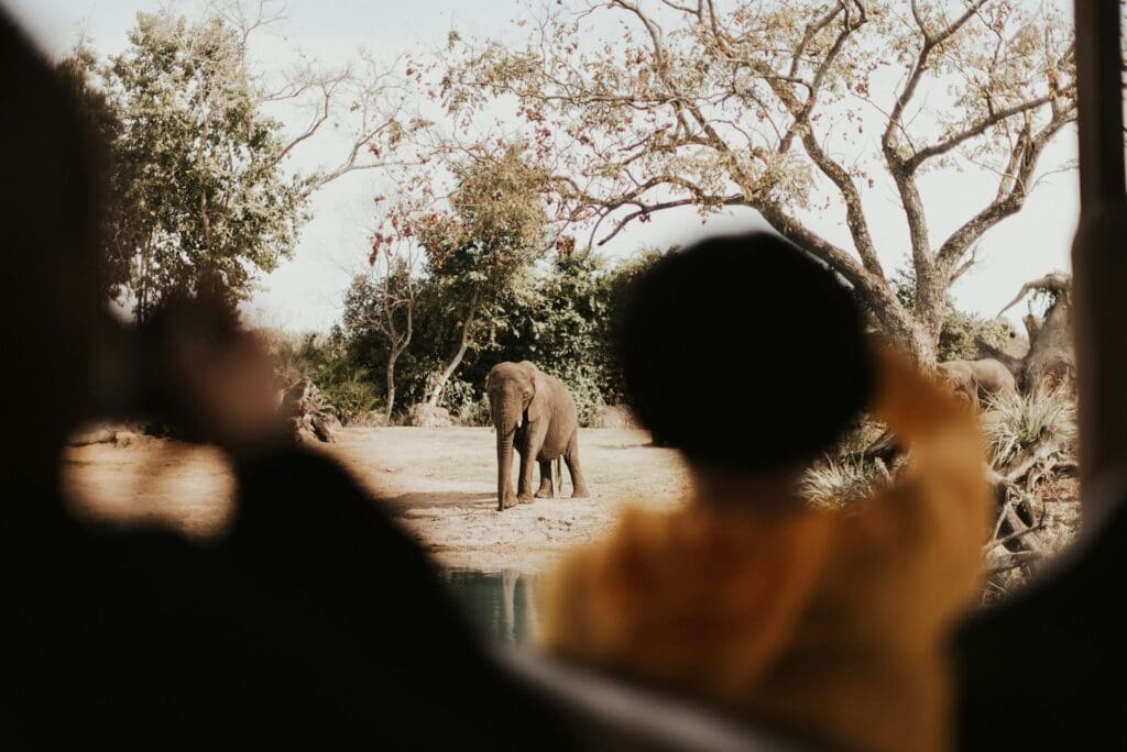 Romantic Safaris for Couples