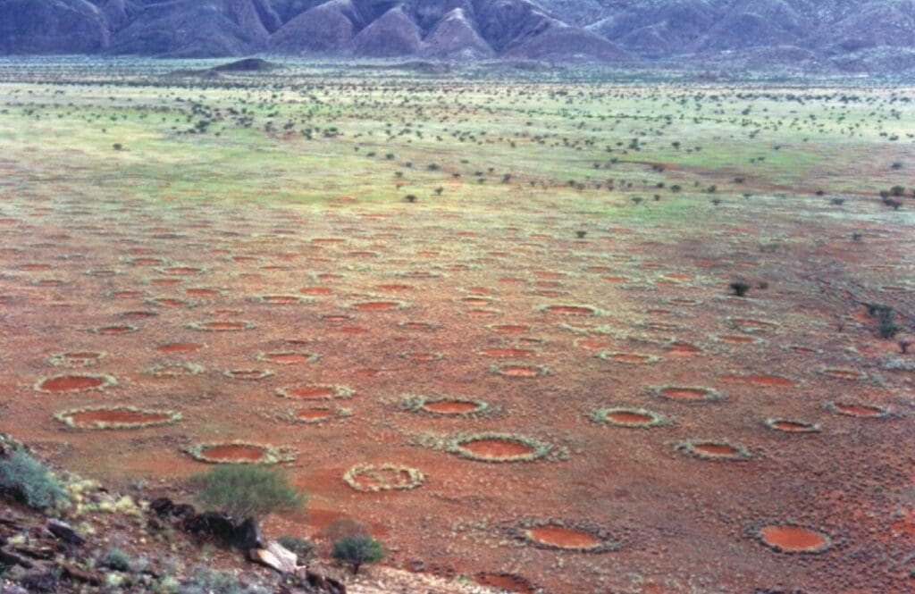 Fairy circles of Namibia