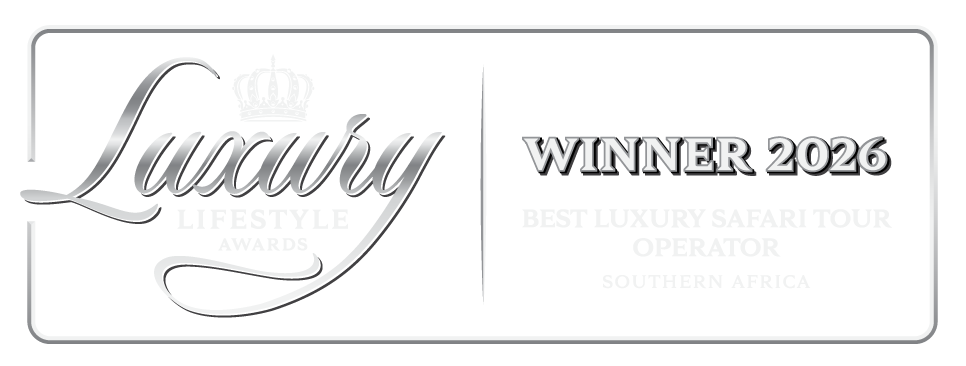 winner black horizontal big transparent