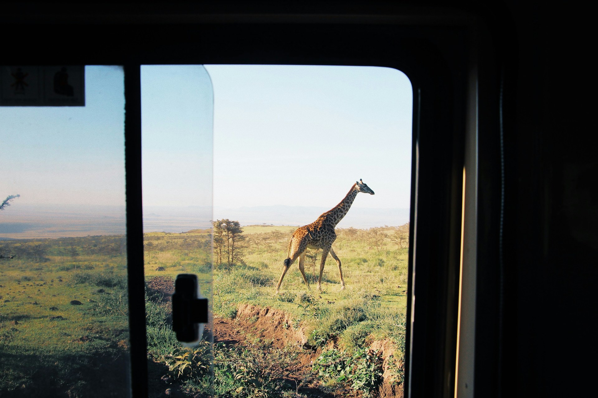Safari in Africa