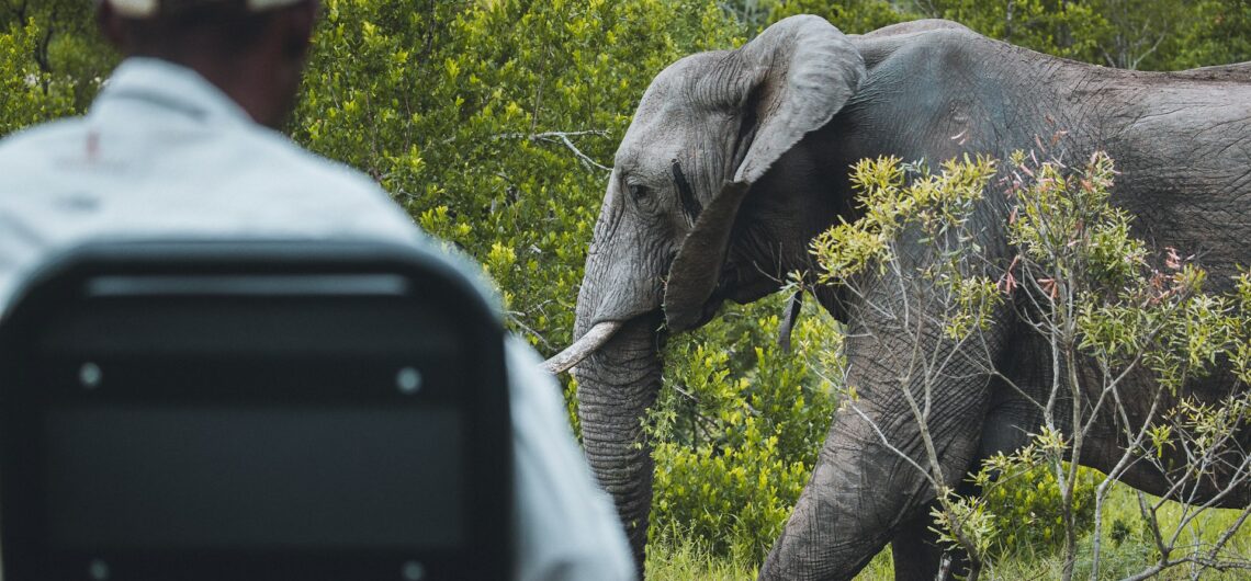 What is an African Safari Like