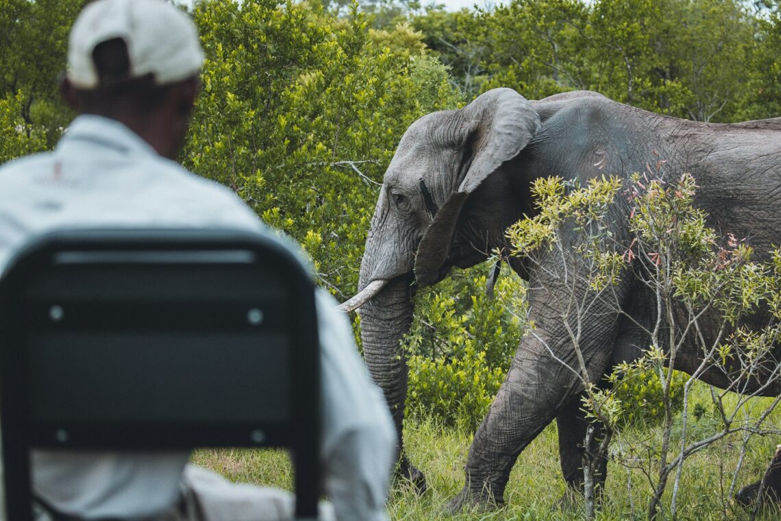 What is an African Safari Like