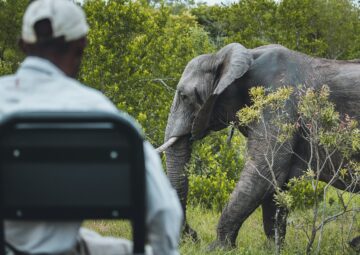 What is an African Safari Like