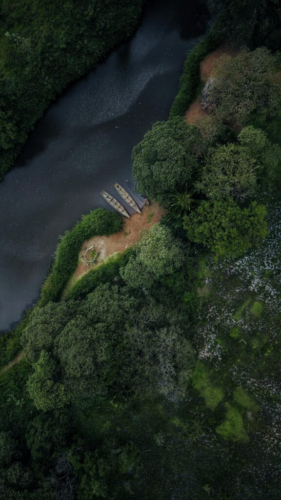 A River in Africa