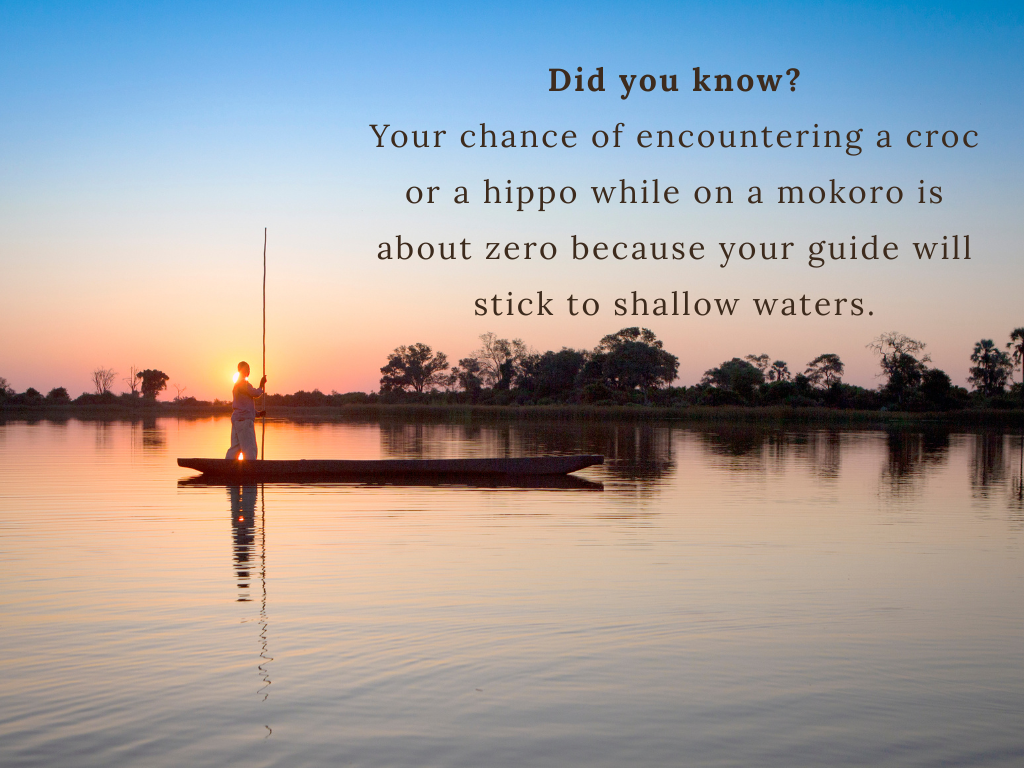 Botswana Safari Facts