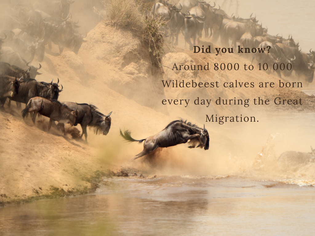 Great Migration Facts