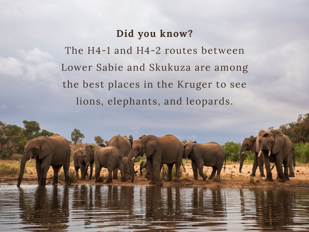 Kruger Safari Facts