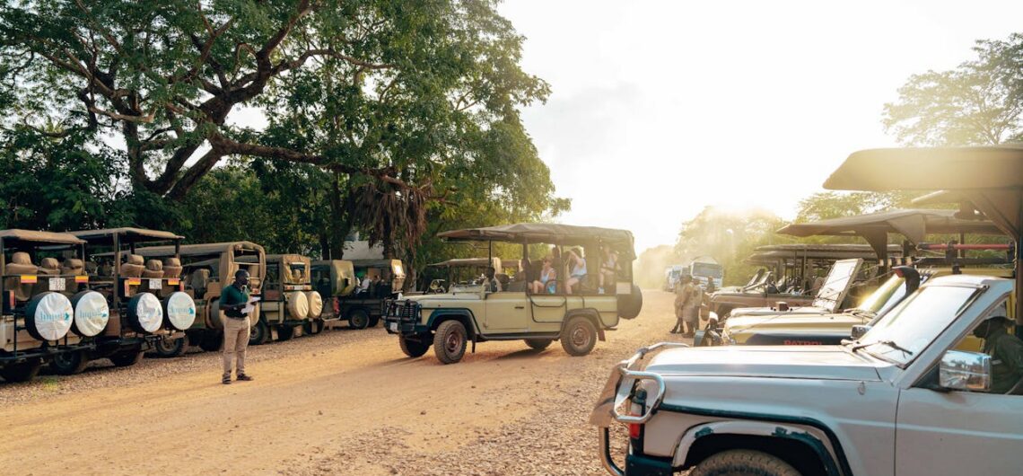 What Type of Safari Are You? 1 Safari Types
