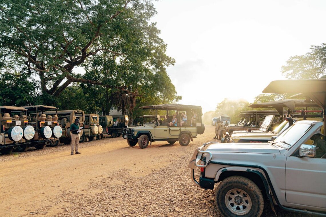 Safari Types