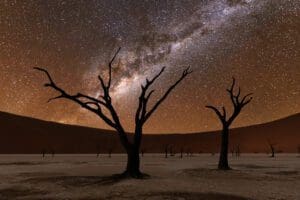 Ancient trees stand tall at Deadvlei with Mily Way Sossusvlei Namibia