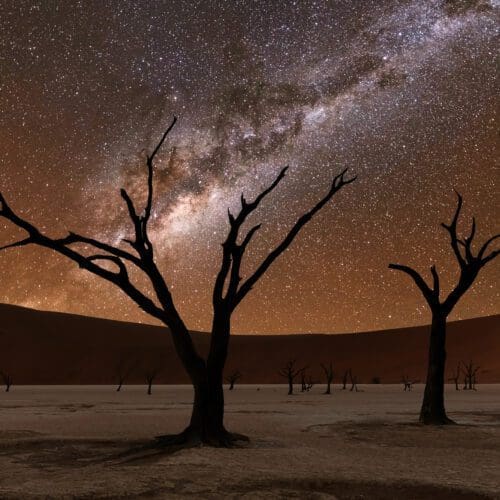Ancient trees stand tall at Deadvlei with Mily Way Sossusvlei Namibia