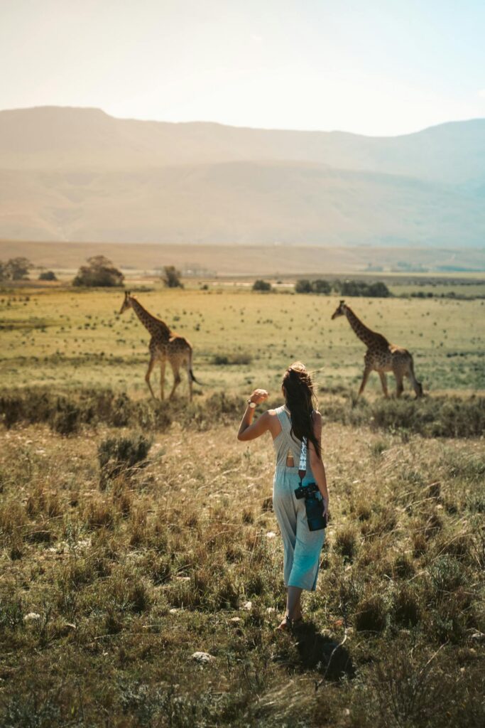 Types of Safari Travellers