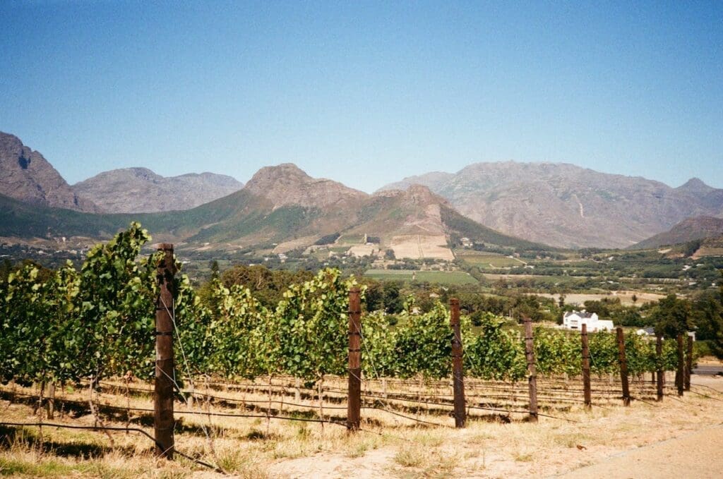 Weingut in der Nähe von Franschhoek